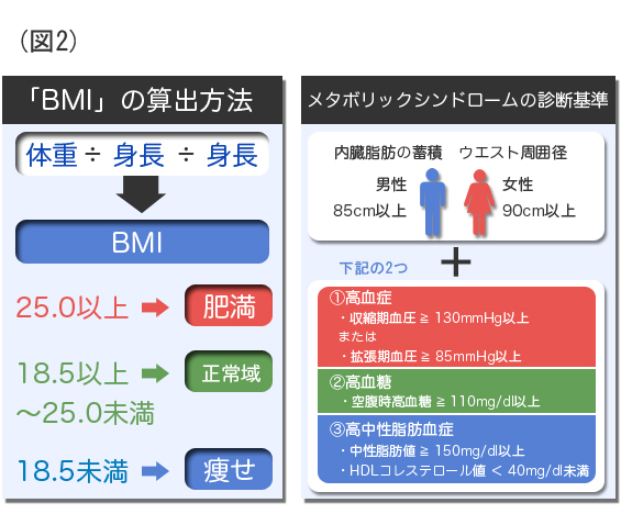 BMIの算出方法